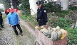 吃瓜爆料缅北事件真相,吃瓜群众眼中的真相披露